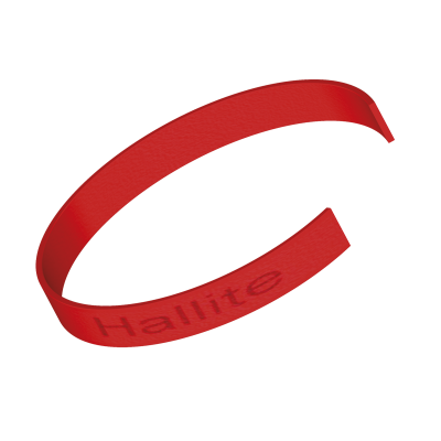 Inel de ghidare - F506